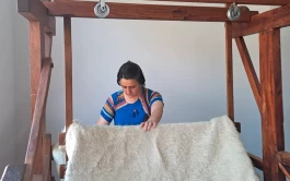 Grande Prémio de Literatura dst